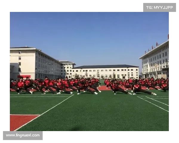 中国十大武术学校排名及其特色培养模式探析